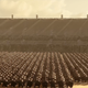 A shot from a CW Television show, or Planet of the Apes?